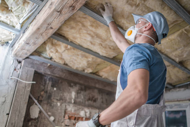 Best Blown-in Insulation in Galveston, TX