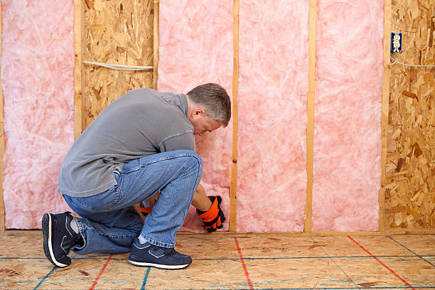 Best Cellulose Insulation in Galveston, TX