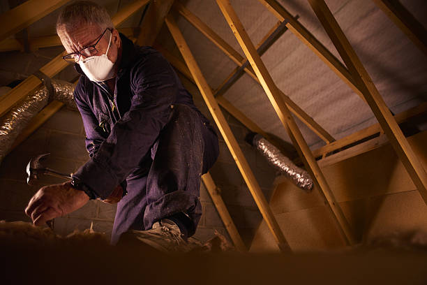 Best Insulation for Specific Applications in Galveston, TX